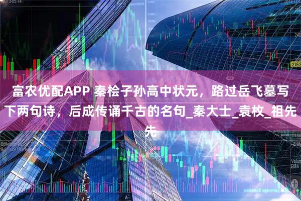 富农优配APP 秦桧子孙高中状元，路过岳飞墓写下两句诗，后成传诵千古的名句_秦大士_袁枚_祖先