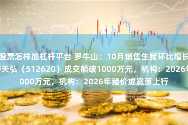 股票怎样加杠杆平台 罗牛山：10月销售生猪环比增长近14%，农业ETF天弘（512620）成交额破1000万元，机构：2026年猪价或震荡上行