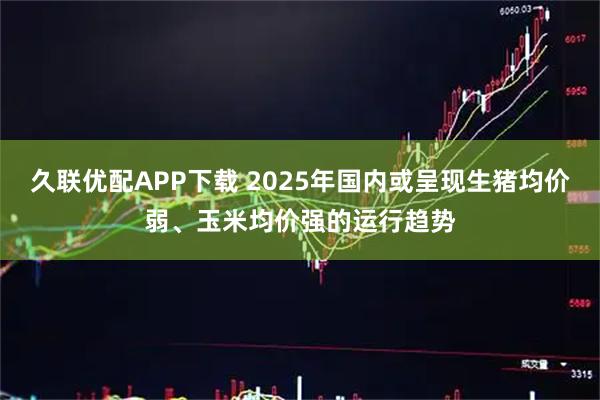 久联优配APP下载 2025年国内或呈现生猪均价弱、玉米均价强的运行趋势