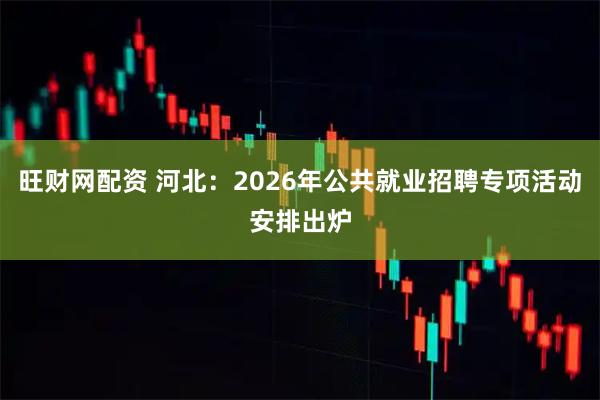 旺财网配资 河北：2026年公共就业招聘专项活动安排出炉