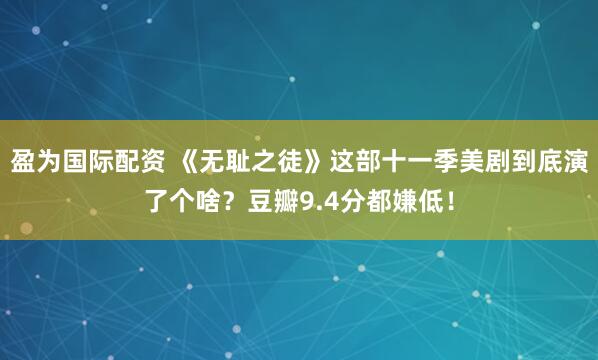 盈为国际配资 《无耻之徒》这部十一季美剧到底演了个啥？豆瓣9.4分都嫌低！